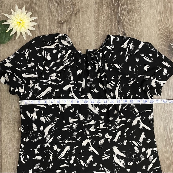 Lark & Ro Black & White Shortsleeved Shift Dress - Picture 10 of 14